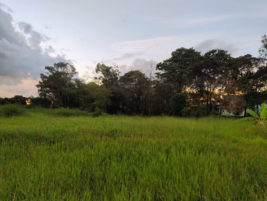 Área 03